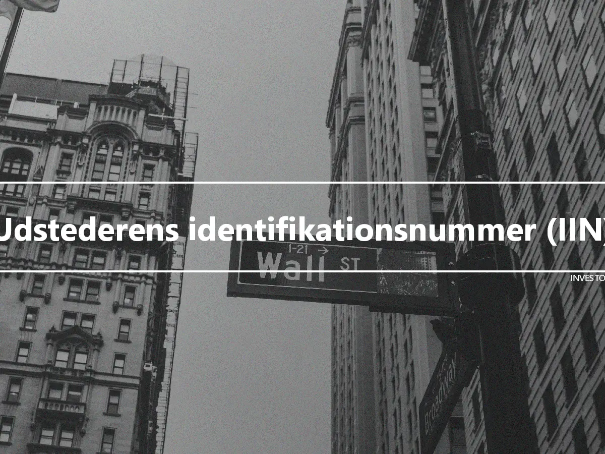 Udstederens identifikationsnummer (IIN)