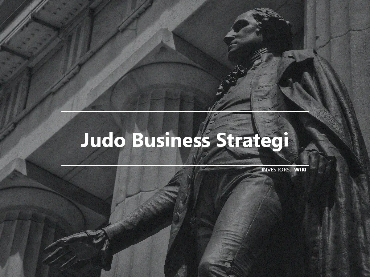 Judo Business Strategi
