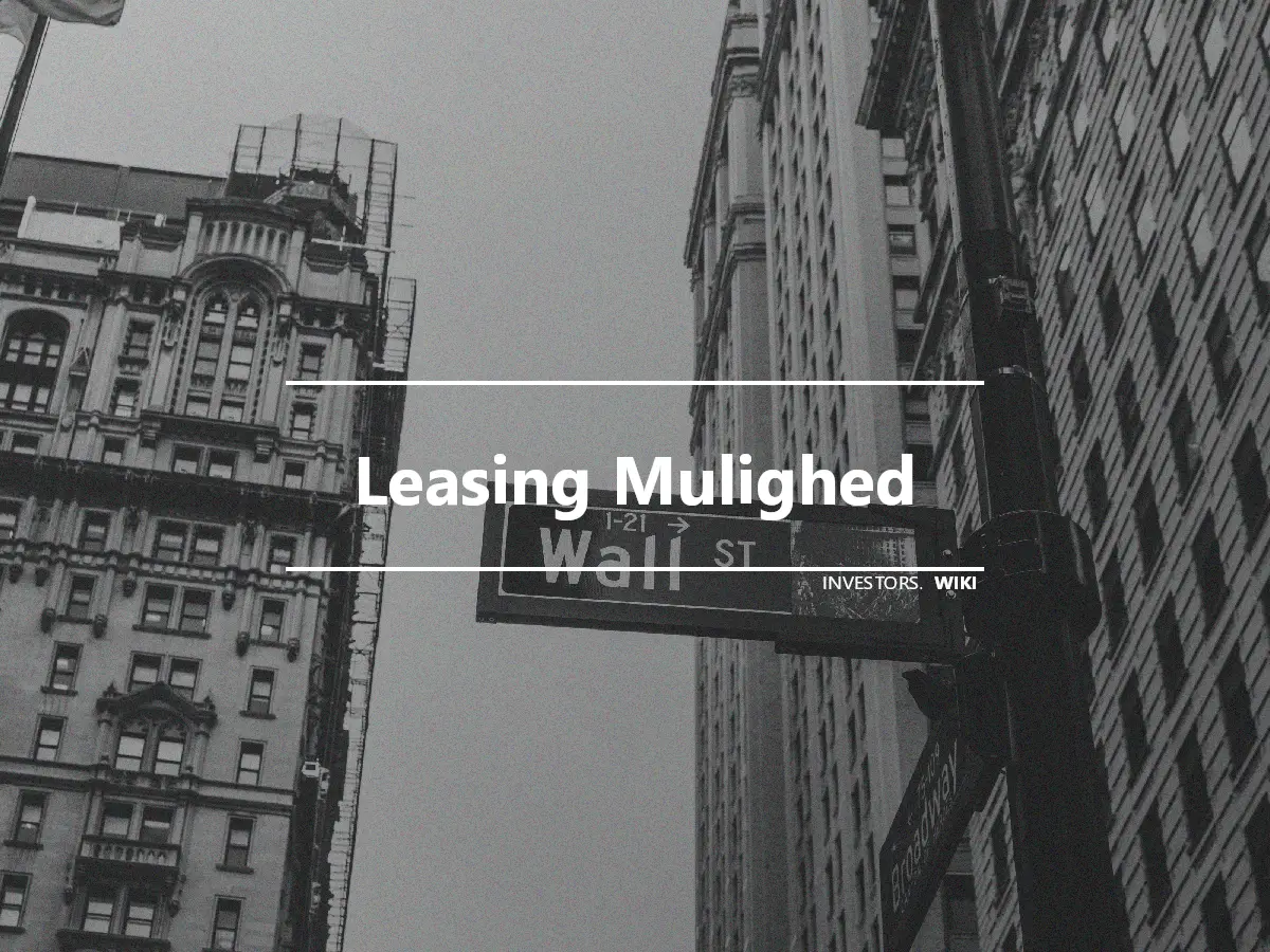 Leasing Mulighed