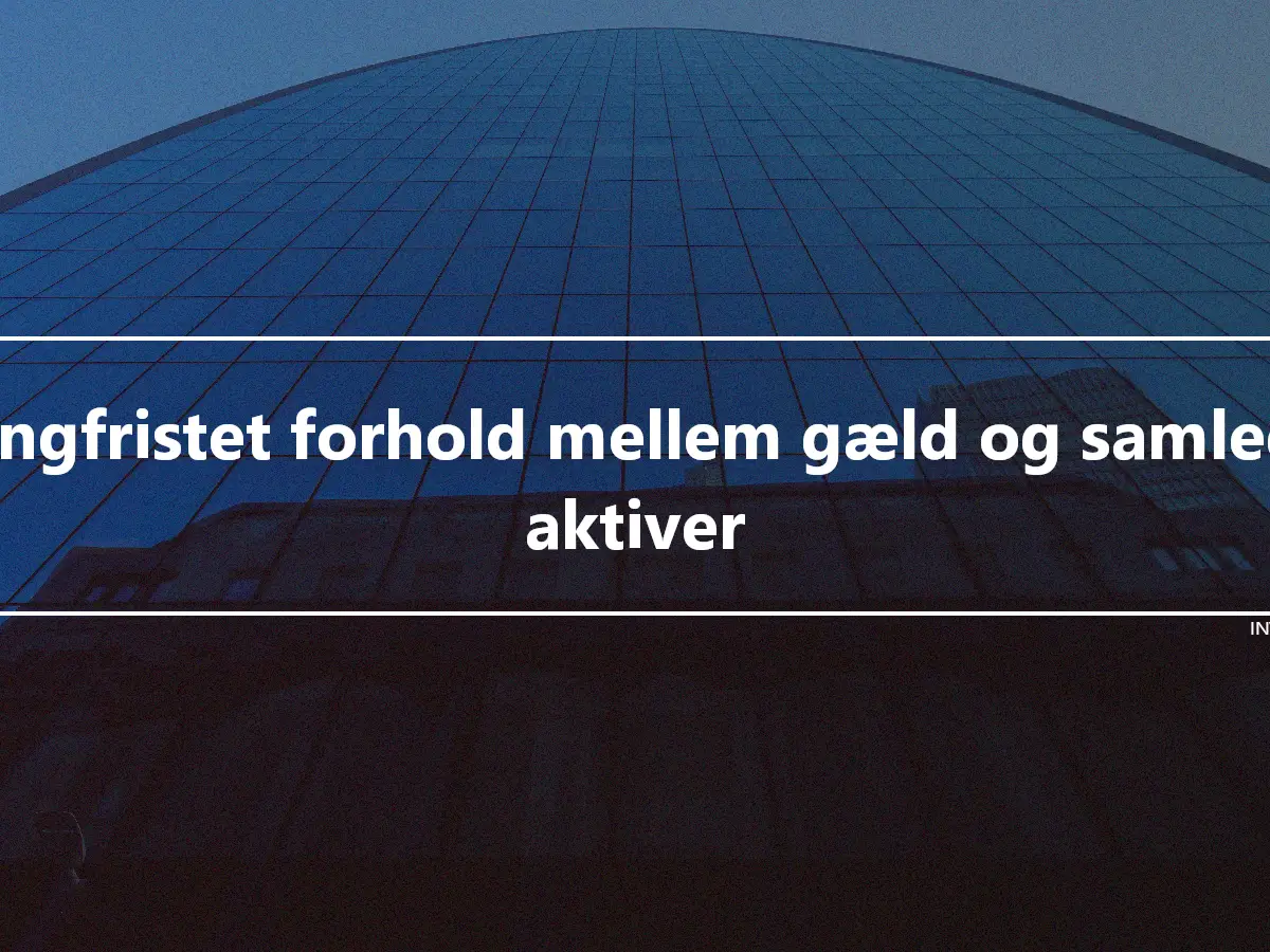 Langfristet forhold mellem gæld og samlede aktiver