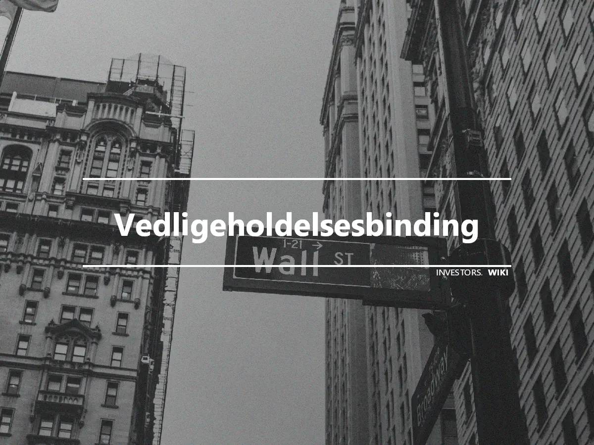 Vedligeholdelsesbinding