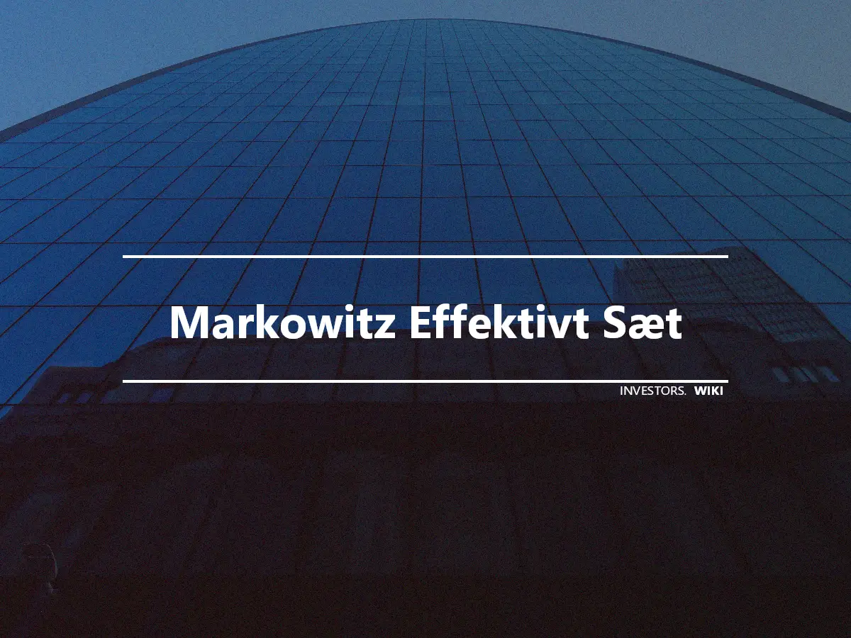 Markowitz Effektivt Sæt