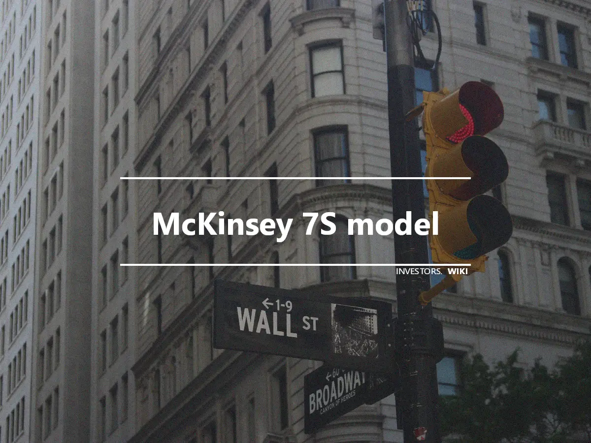 McKinsey 7S model