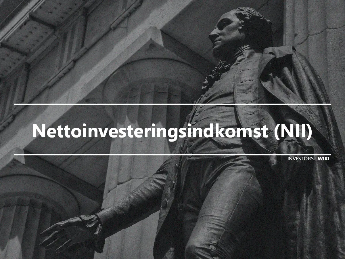 Nettoinvesteringsindkomst (NII)