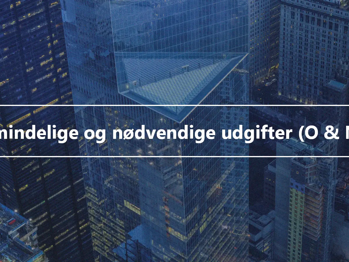 Almindelige og nødvendige udgifter (O & NE)