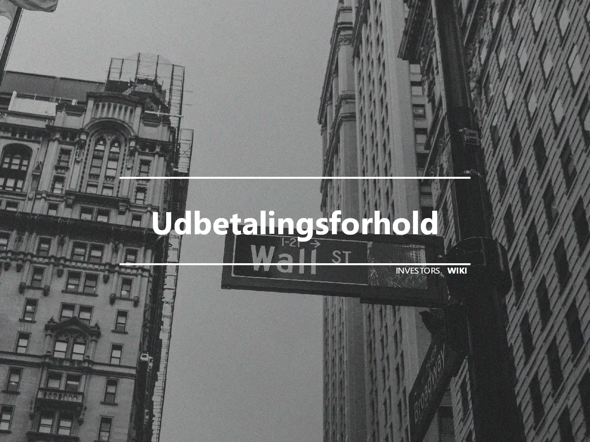 Udbetalingsforhold