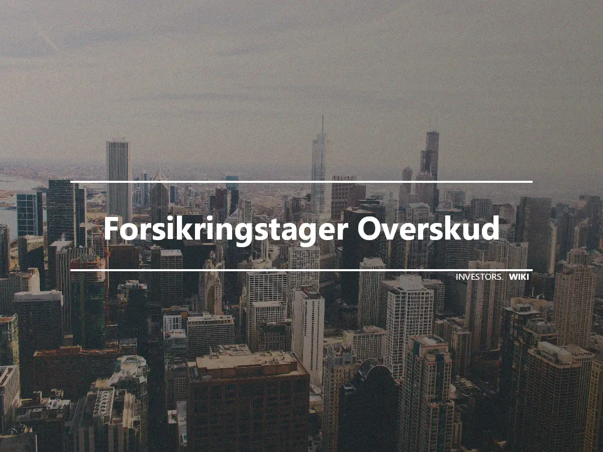 Forsikringstager Overskud