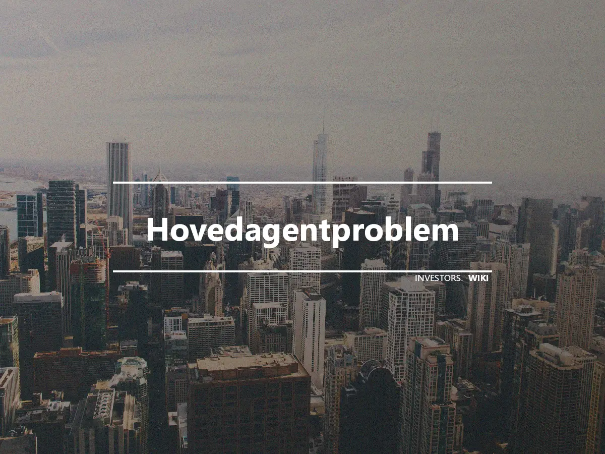 Hovedagentproblem