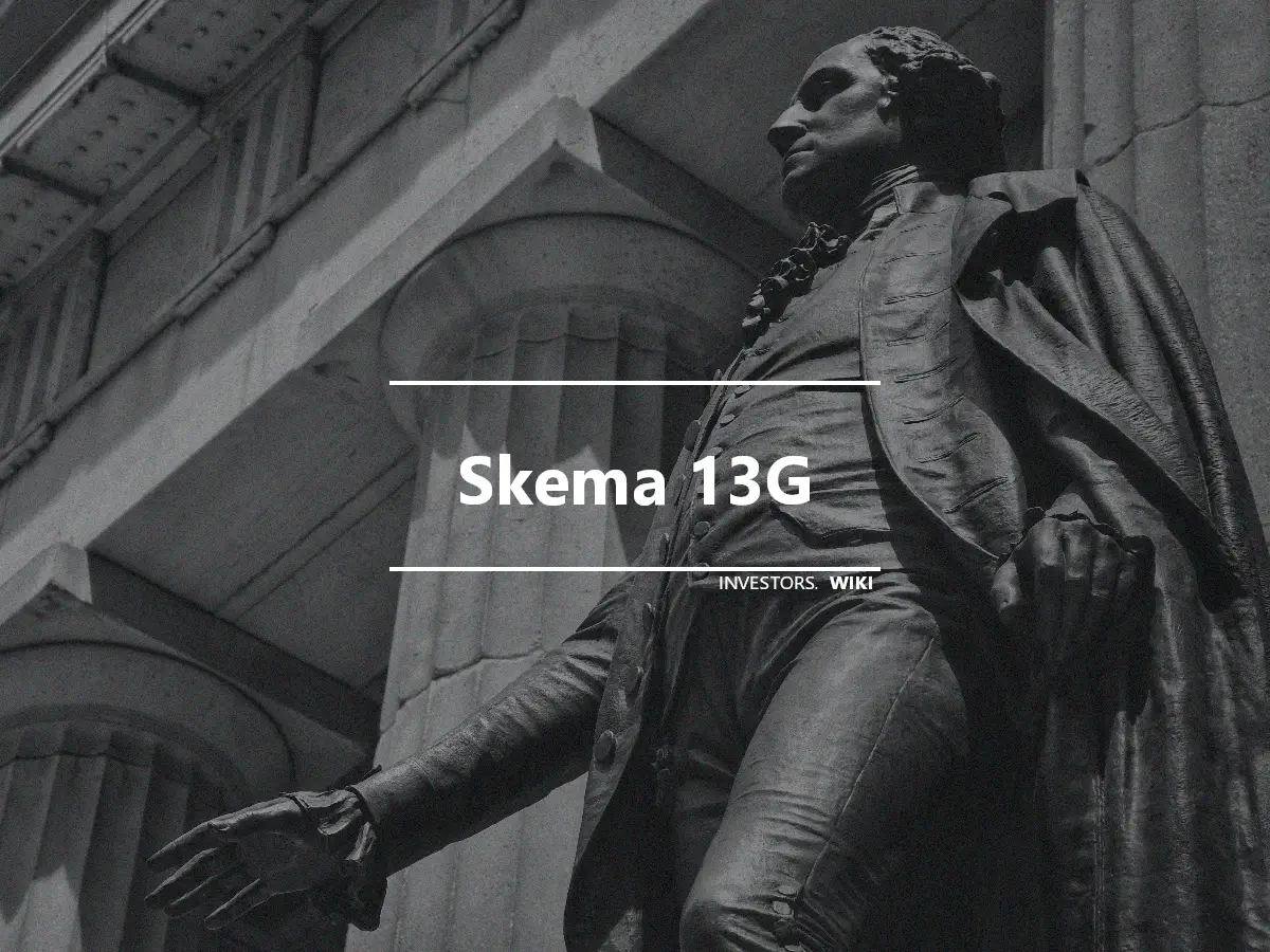 Skema 13G