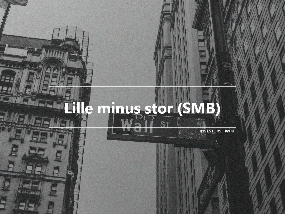 Lille minus stor (SMB)