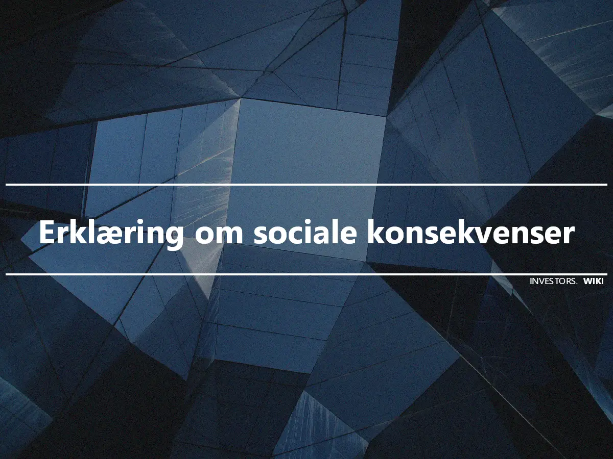 Erklæring om sociale konsekvenser