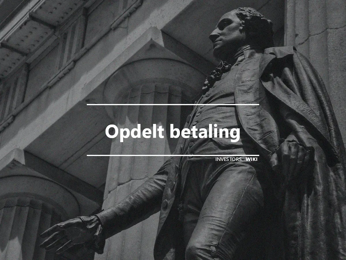 Opdelt betaling