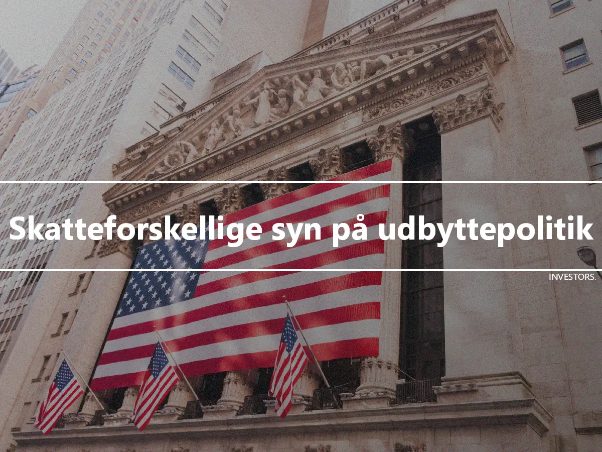 Skatteforskellige syn på udbyttepolitik