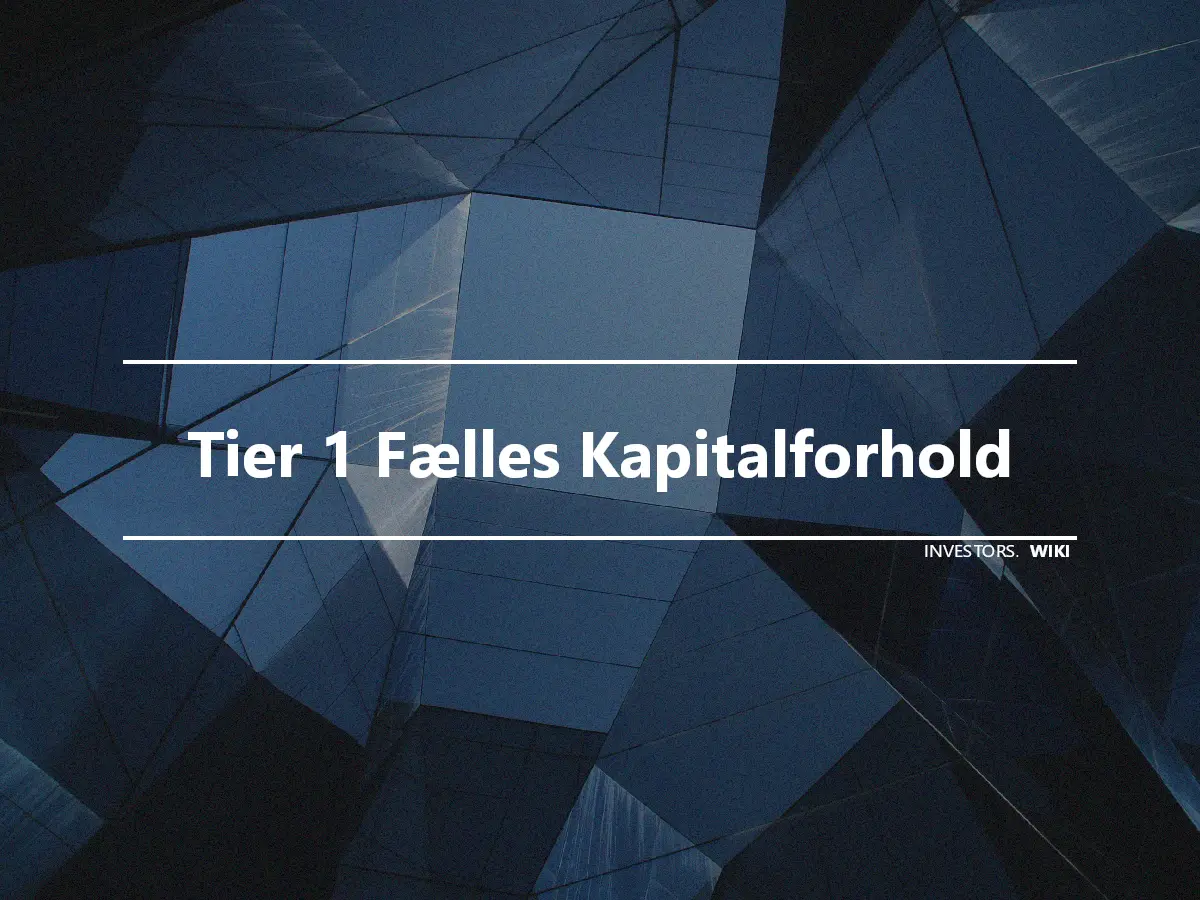 Tier 1 Fælles Kapitalforhold