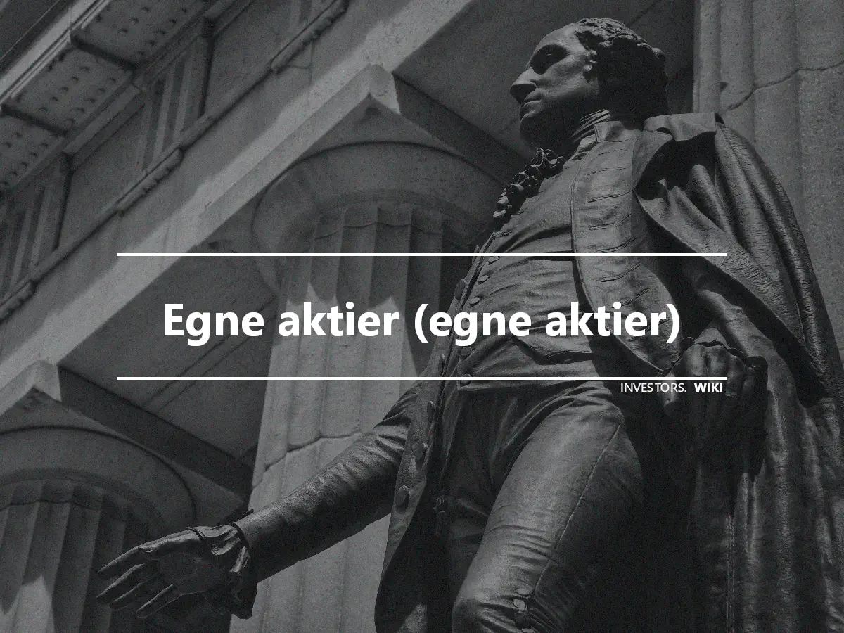 Egne aktier (egne aktier)