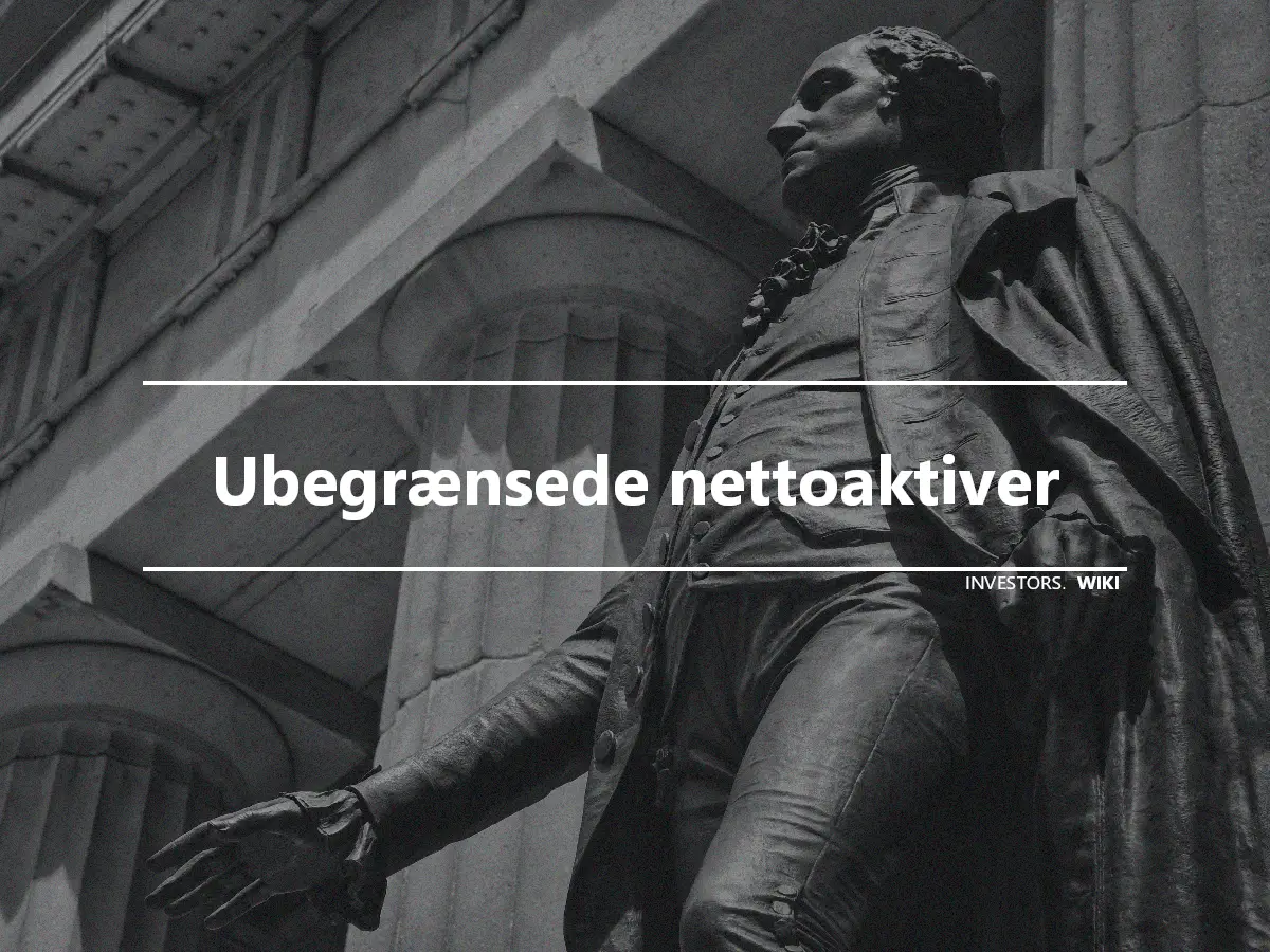 Ubegrænsede nettoaktiver