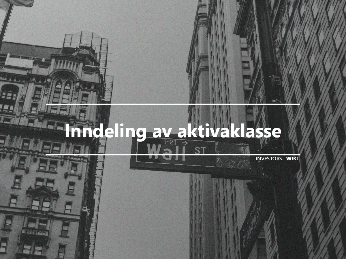 Inndeling av aktivaklasse