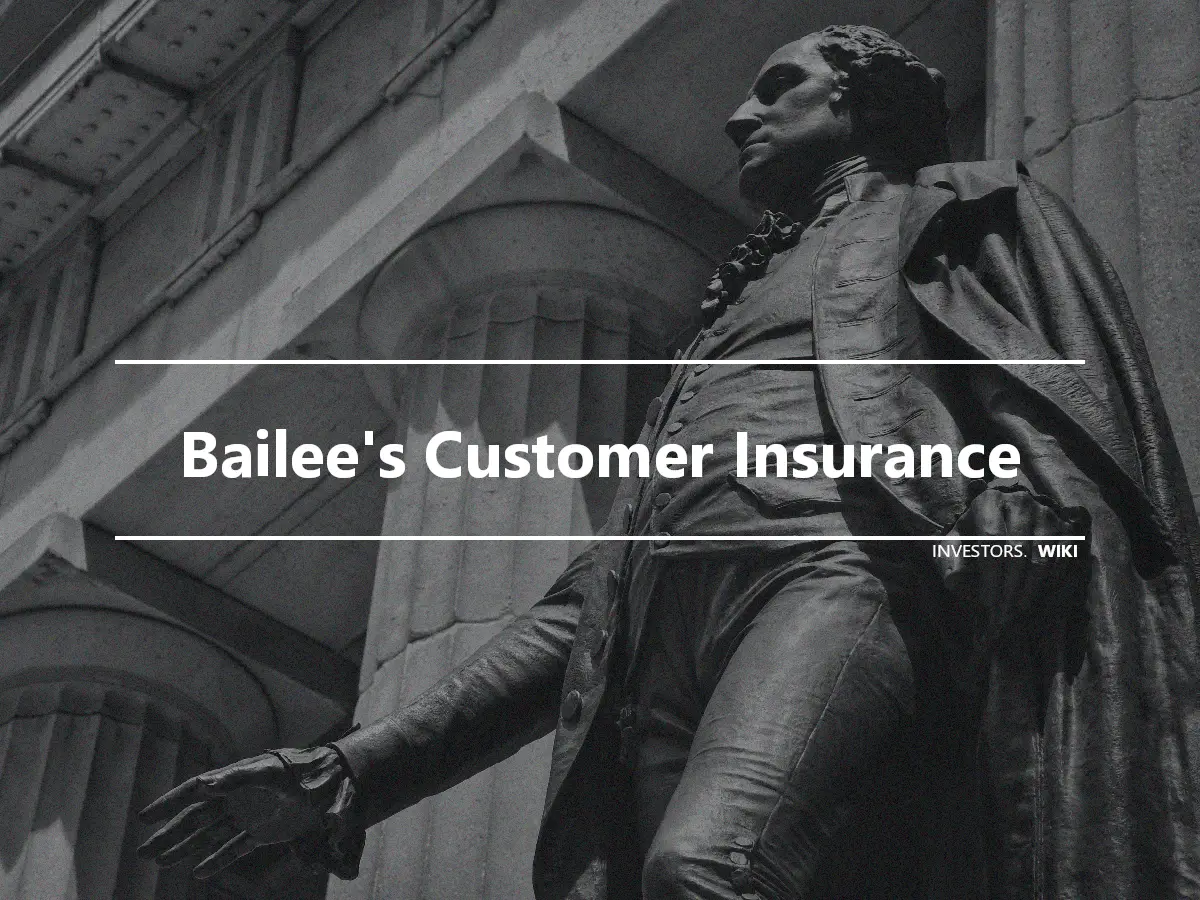 Bailee's Customer Insurance
