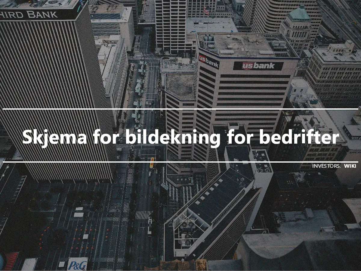 Skjema for bildekning for bedrifter