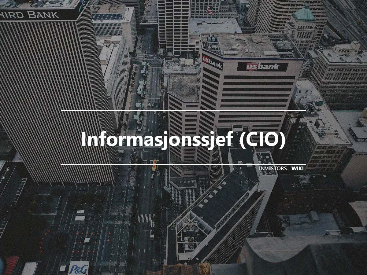 Informasjonssjef (CIO)