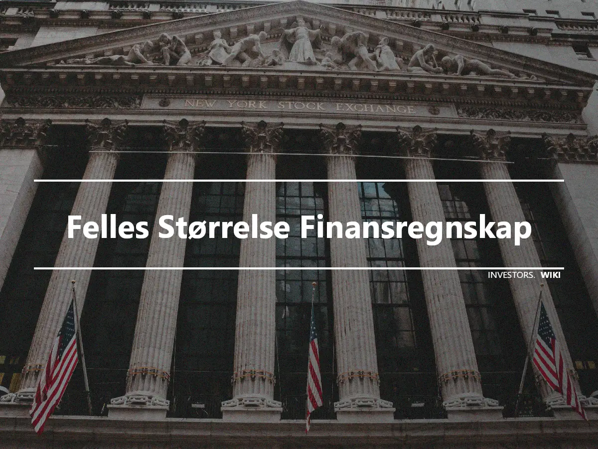 Felles Størrelse Finansregnskap