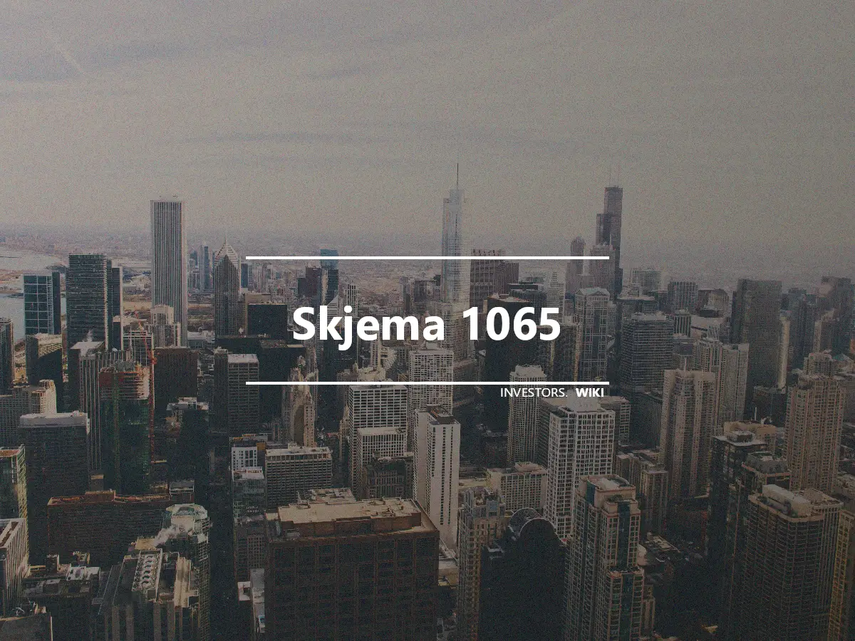Skjema 1065