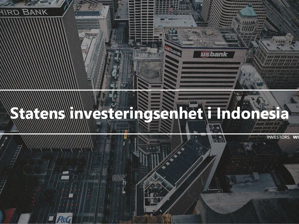 Statens investeringsenhet i Indonesia