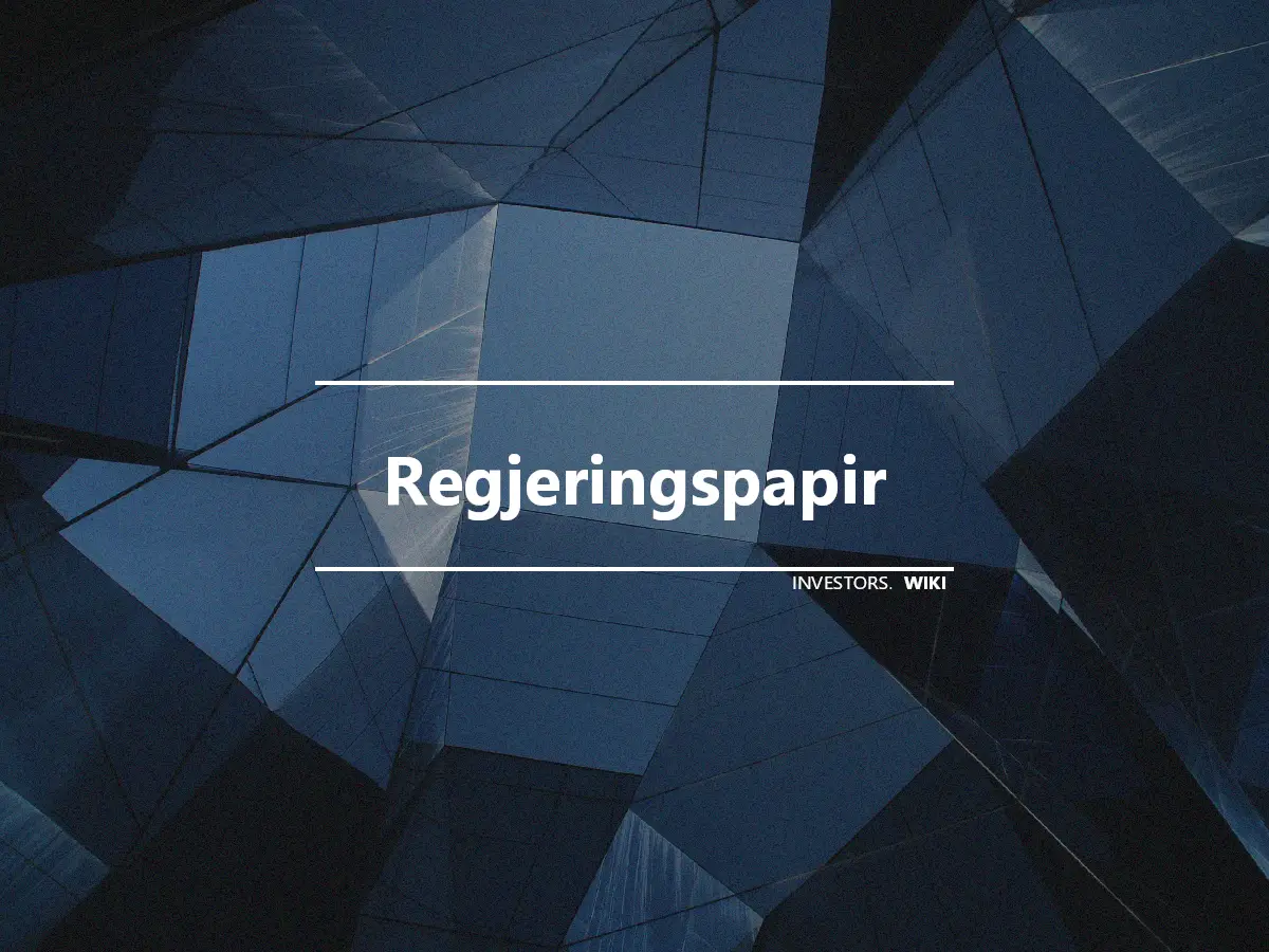 Regjeringspapir