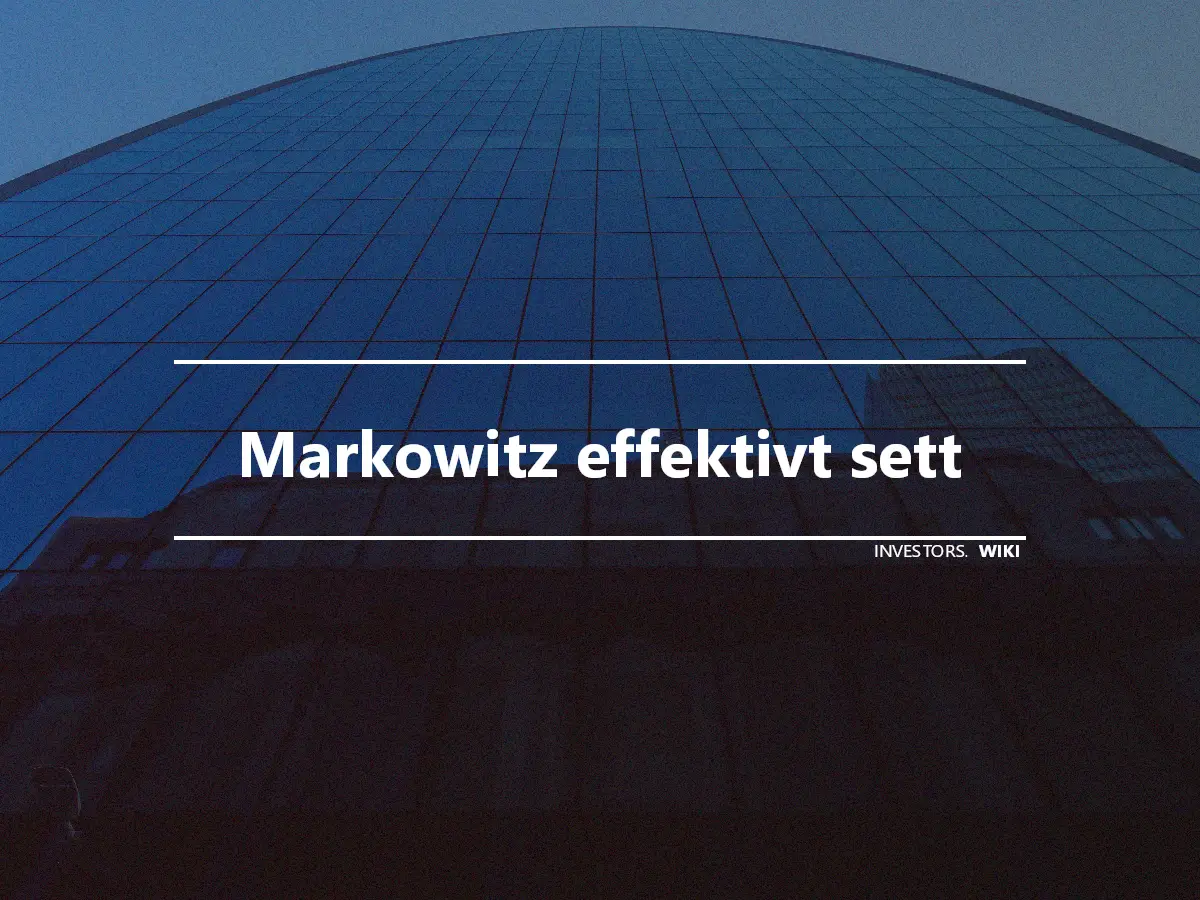 Markowitz effektivt sett