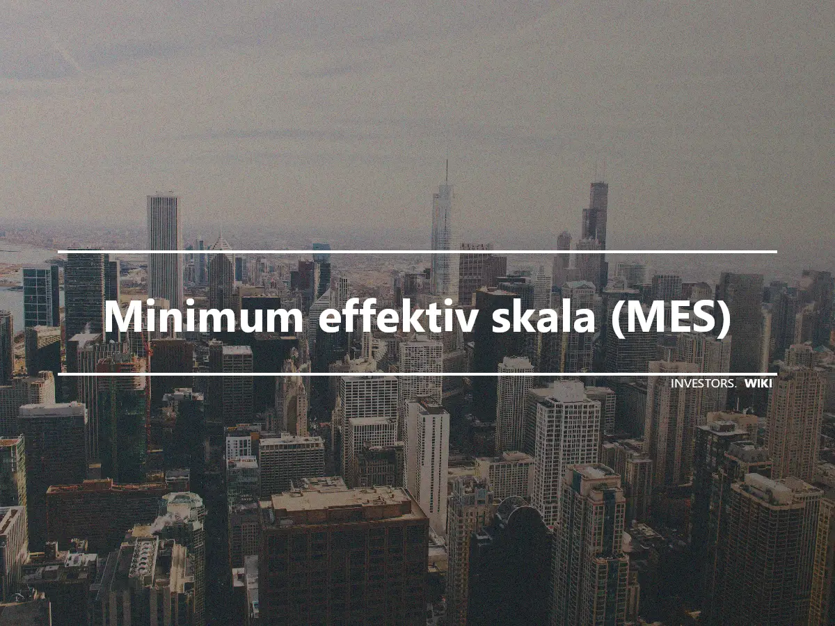 Minimum effektiv skala (MES)