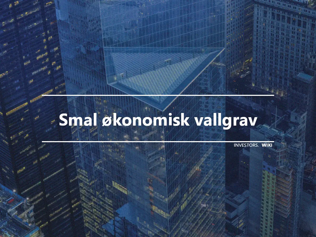 Smal økonomisk vallgrav