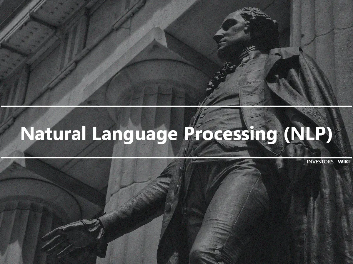 Natural Language Processing (NLP)