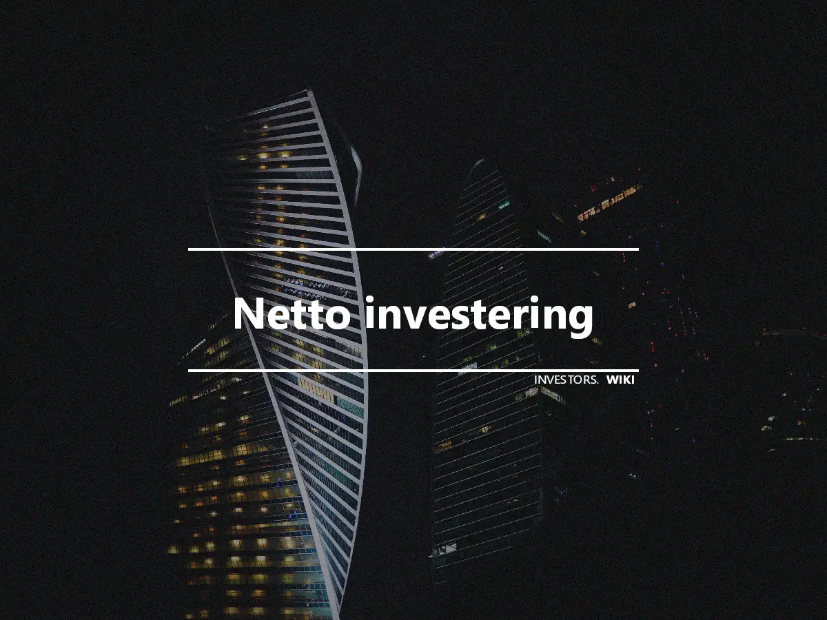 Netto investering