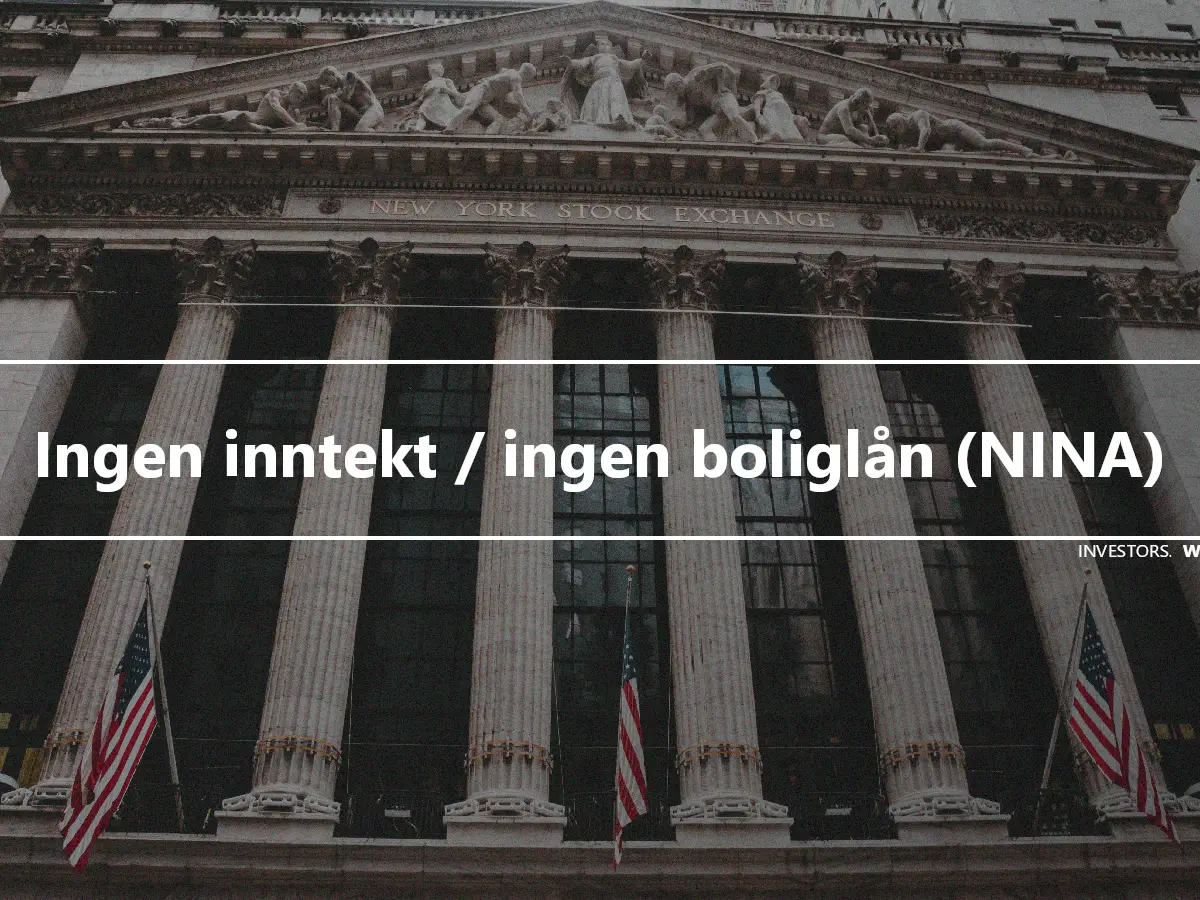 Ingen inntekt / ingen boliglån (NINA)