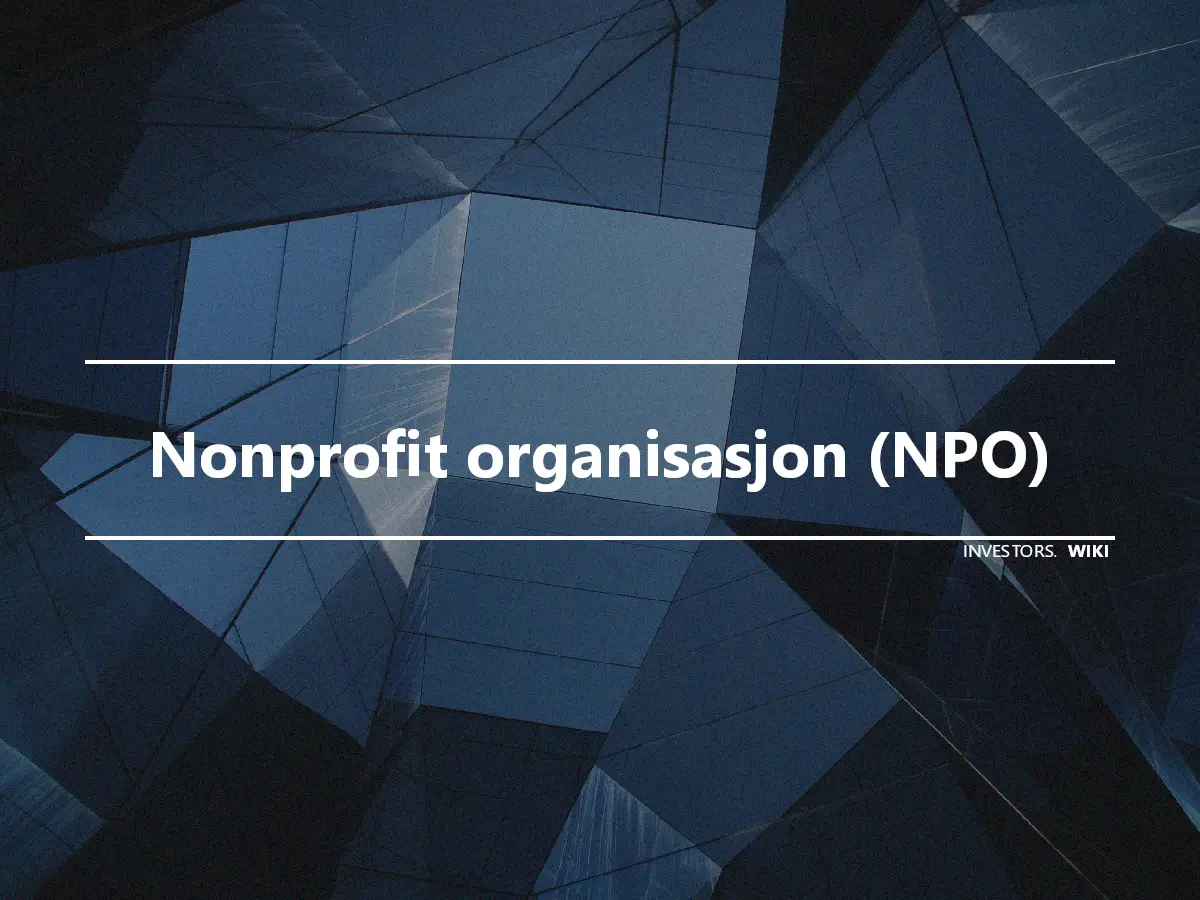 Nonprofit organisasjon (NPO)