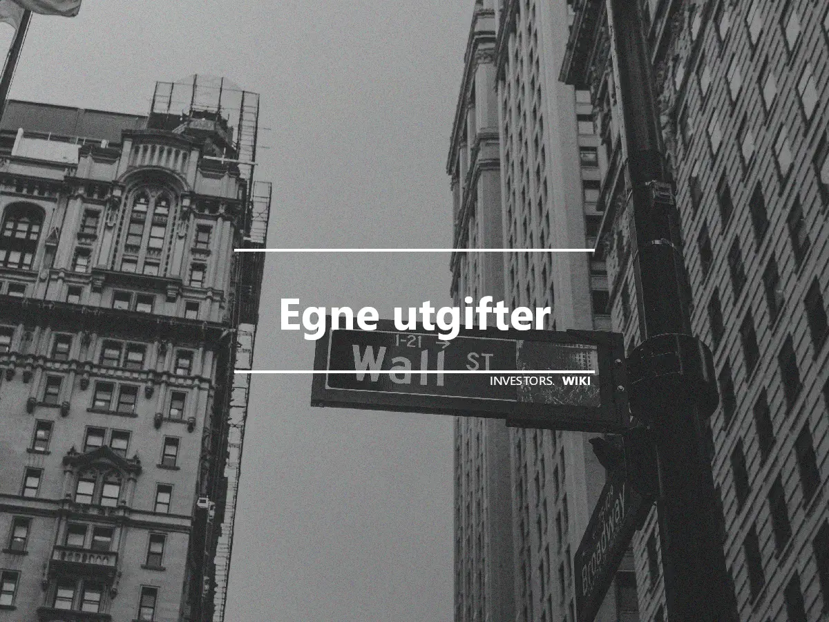 Egne utgifter