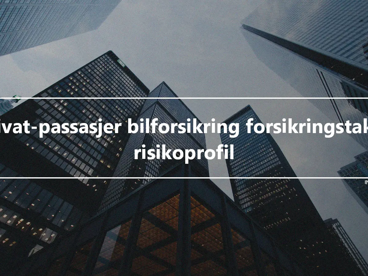 Privat-passasjer bilforsikring forsikringstaker risikoprofil