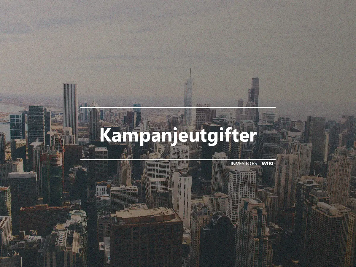 Kampanjeutgifter