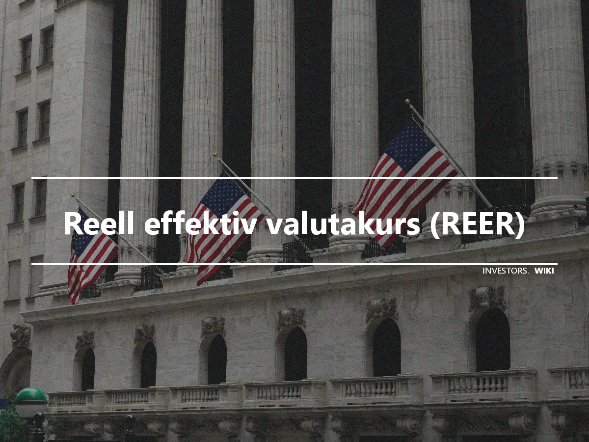 Reell effektiv valutakurs (REER)