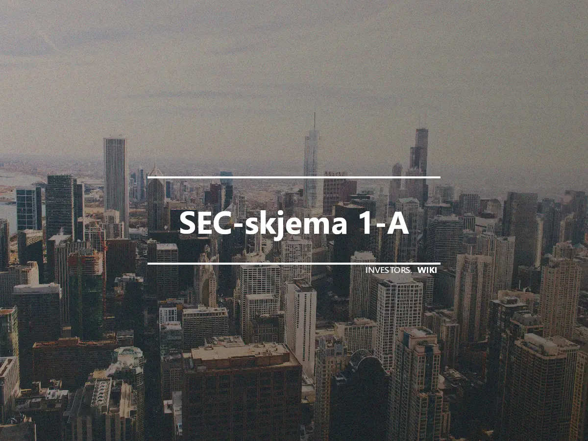 SEC-skjema 1-A