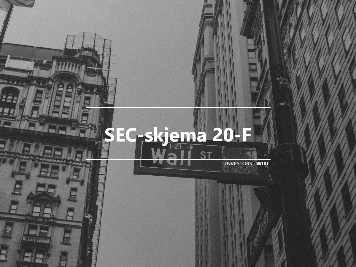 SEC-skjema 20-F