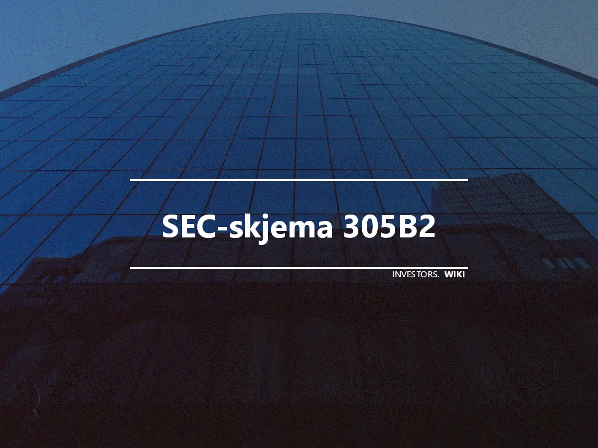 SEC-skjema 305B2