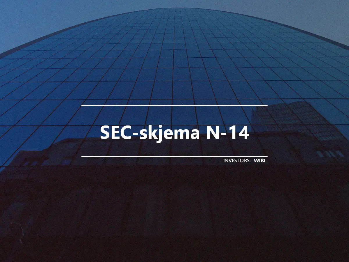 SEC-skjema N-14