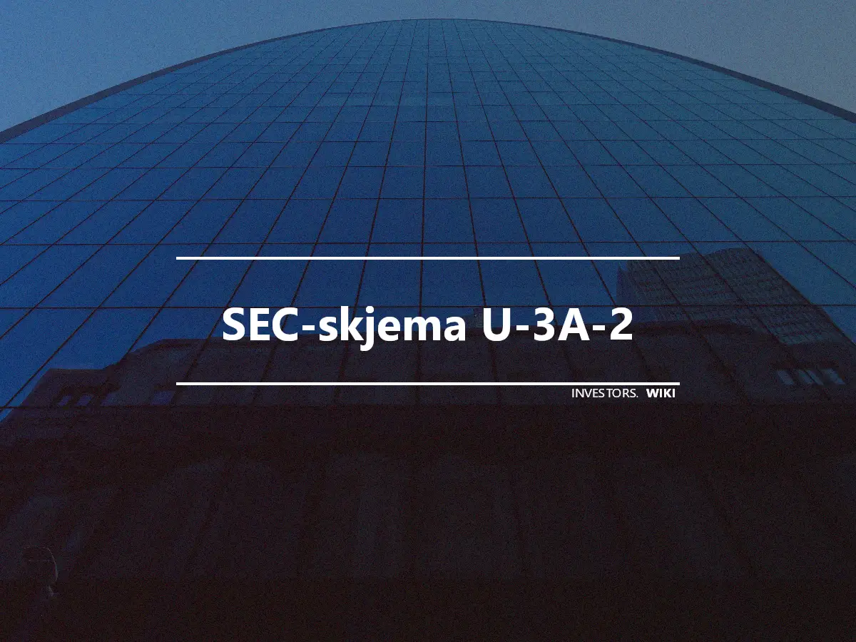 SEC-skjema U-3A-2