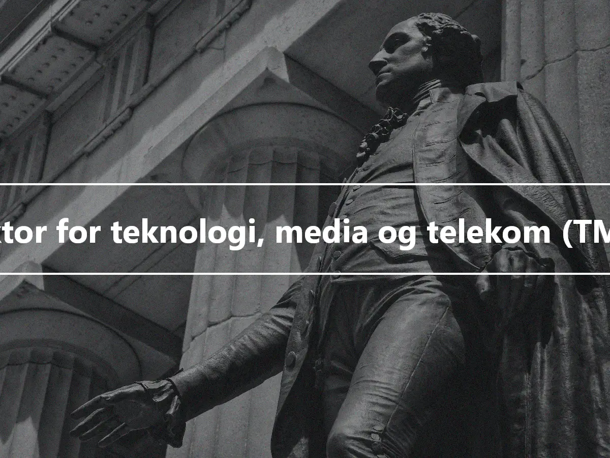 Sektor for teknologi, media og telekom (TMT).