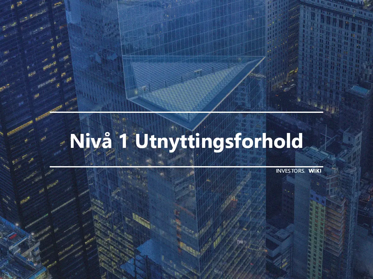 Nivå 1 Utnyttingsforhold