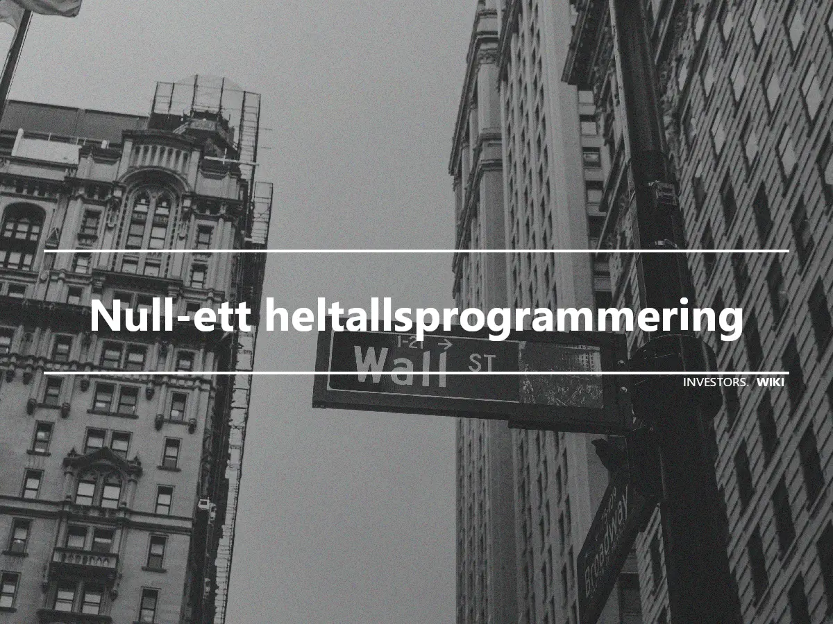 Null-ett heltallsprogrammering