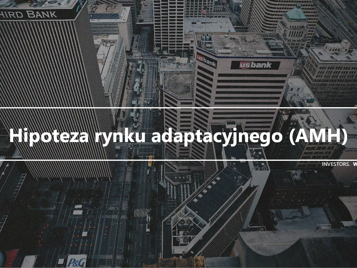 Hipoteza rynku adaptacyjnego (AMH)