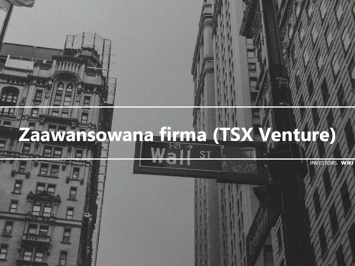 Zaawansowana firma (TSX Venture)