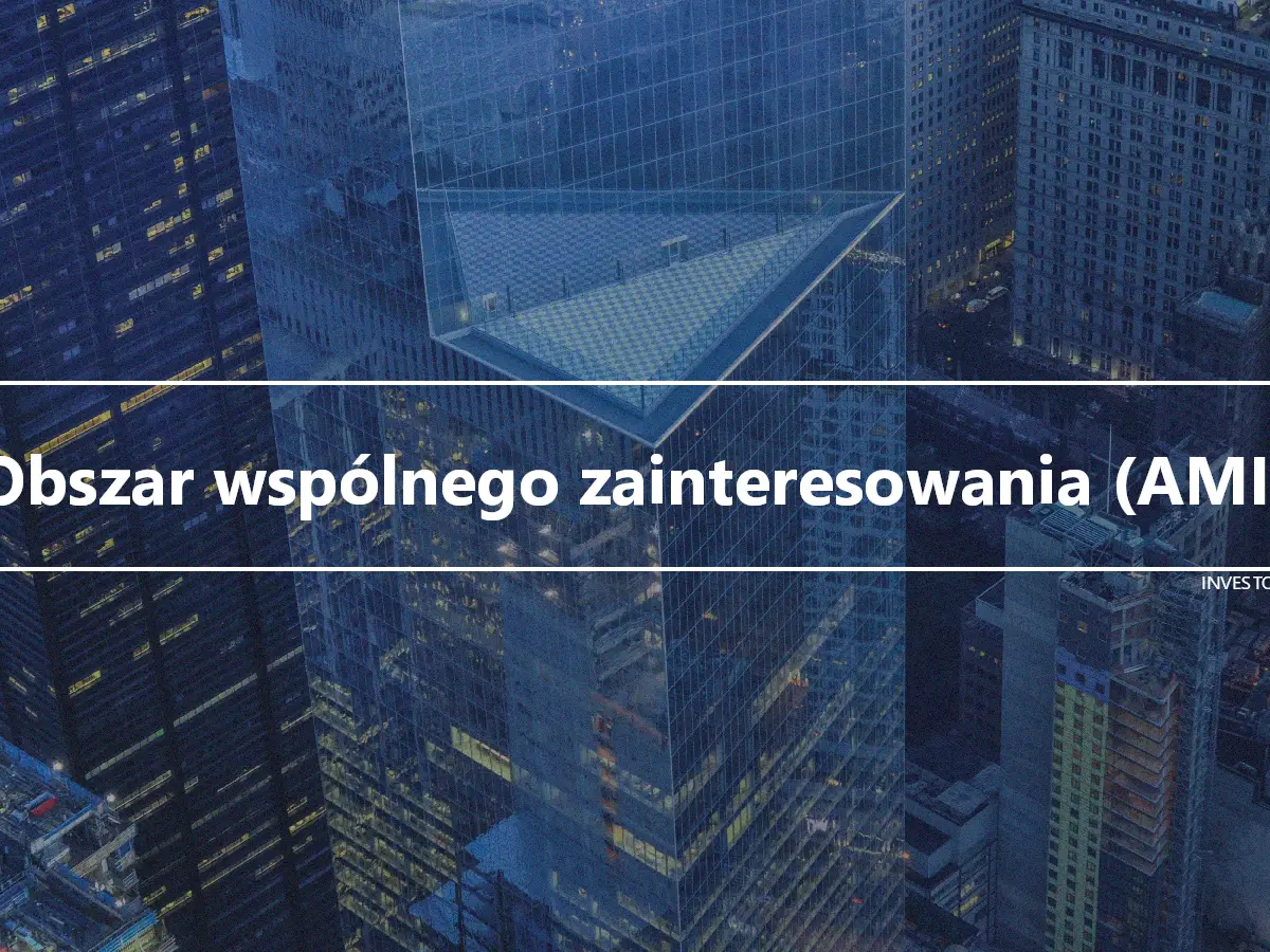 Obszar wspólnego zainteresowania (AMI)